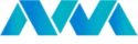 nvmvision